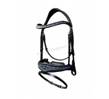 Leather Bridle 